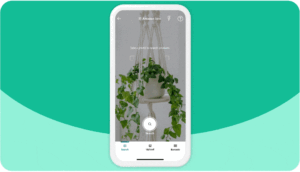 Amazon Brings Image-Based Shopping to South Africa with Amazon Lens